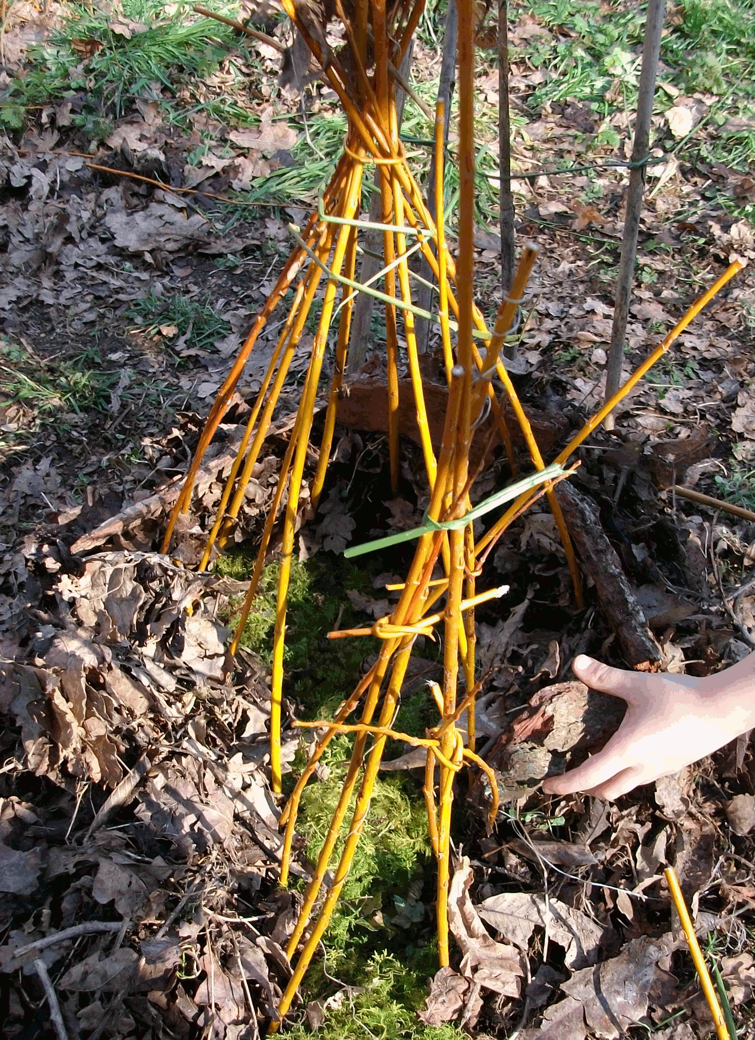 Samedi 14 mars et mercredi 18 mars : venez fêter le réveil de la nature !