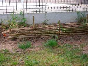 Plessis en noisetier