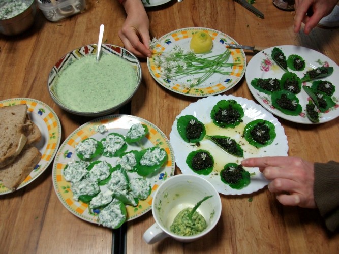 Sortie plantes sauvages et atelier culinaire au Gorvello café samedi 13 mai