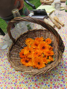 paniers de fleurs de calendula