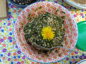 atelier cuisine avec les plantes sauvages