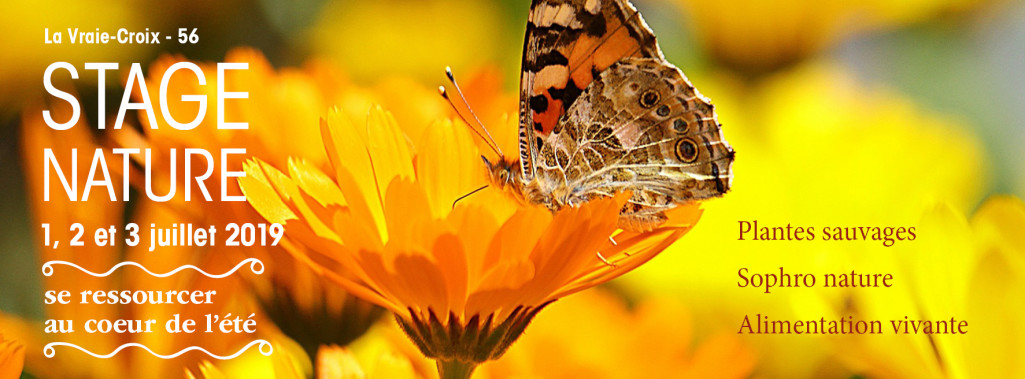 Stage nature se ressourcer au cœur de l'été