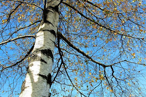 Ateliers nature février mars 2020