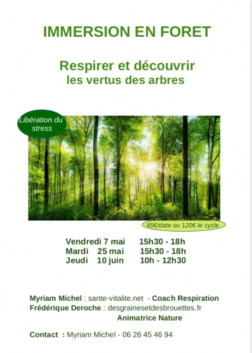 Respirer avec les arbres et découvrir leurs vertus