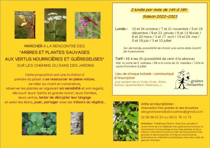 Balades "ARBRES et PLANTES SAUVAGES"