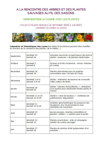 Cycles d'ateliers arbres et plantes sauvages aux vertus nourricières et guérisseuses  2023-2024