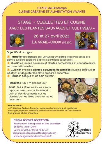 STAGE CUEILLETTES et CUISINE avec LES PLANTES 26-27 AVRIL 2023