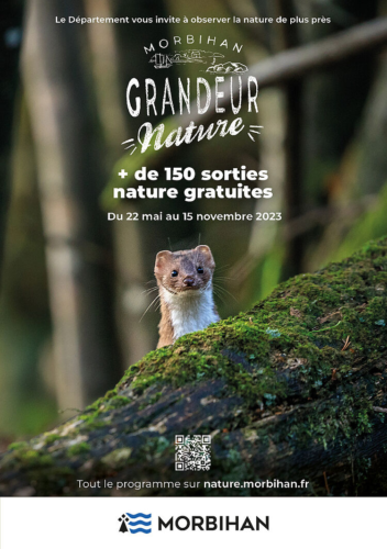 Programme "Morbihan, grandeur nature" : SORTIES NATURE GRATUITES