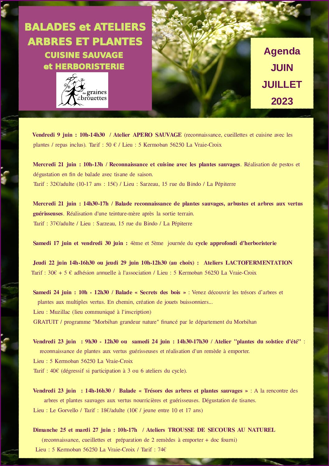 Agenda ateliers balades - juin juillet 2023