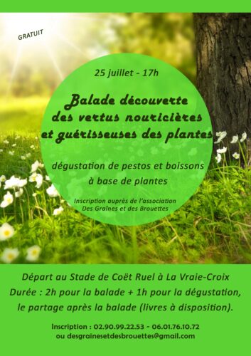 Balade gratuite arbres et plantes aux vertus nourricières et guérisseuses