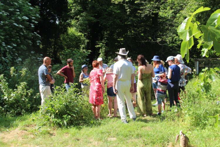 Balade arbres et plantes aux vertus nourricières et guérisseuses