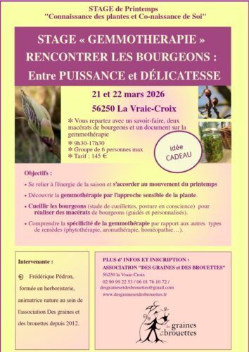 Stage de gemmothérapie  : rencontrer les bourgeons entre puissance et délicatesse