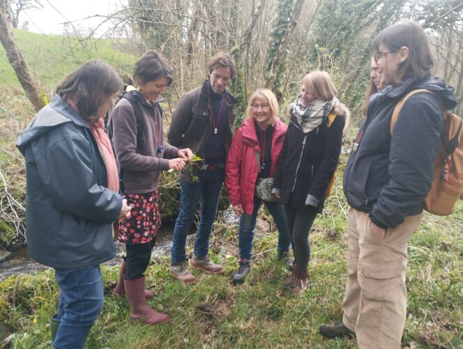 Balade ethnobotanique : trésors d'arbres et de plantes compagnes de nos campagnes