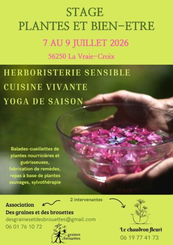 STAGE Herboristerie sensible, cuisine vivante, yoga de saison