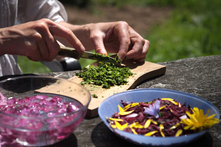 Atelier cueillettes et cuisine avec les plantes